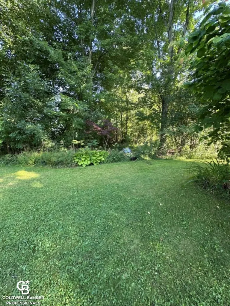 10729 Brandon Road Emmett Village MI 48022