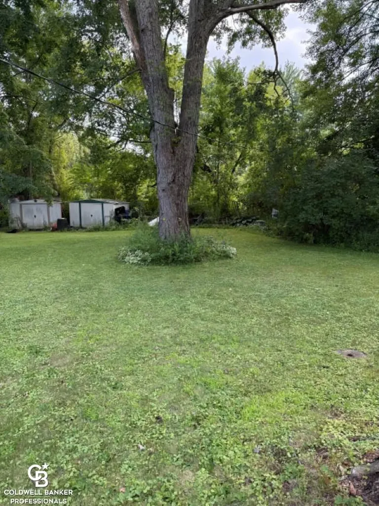 10729 Brandon Road Emmett Village MI 48022