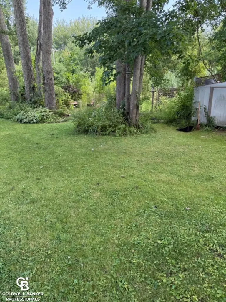 10729 Brandon Road Emmett Village MI 48022