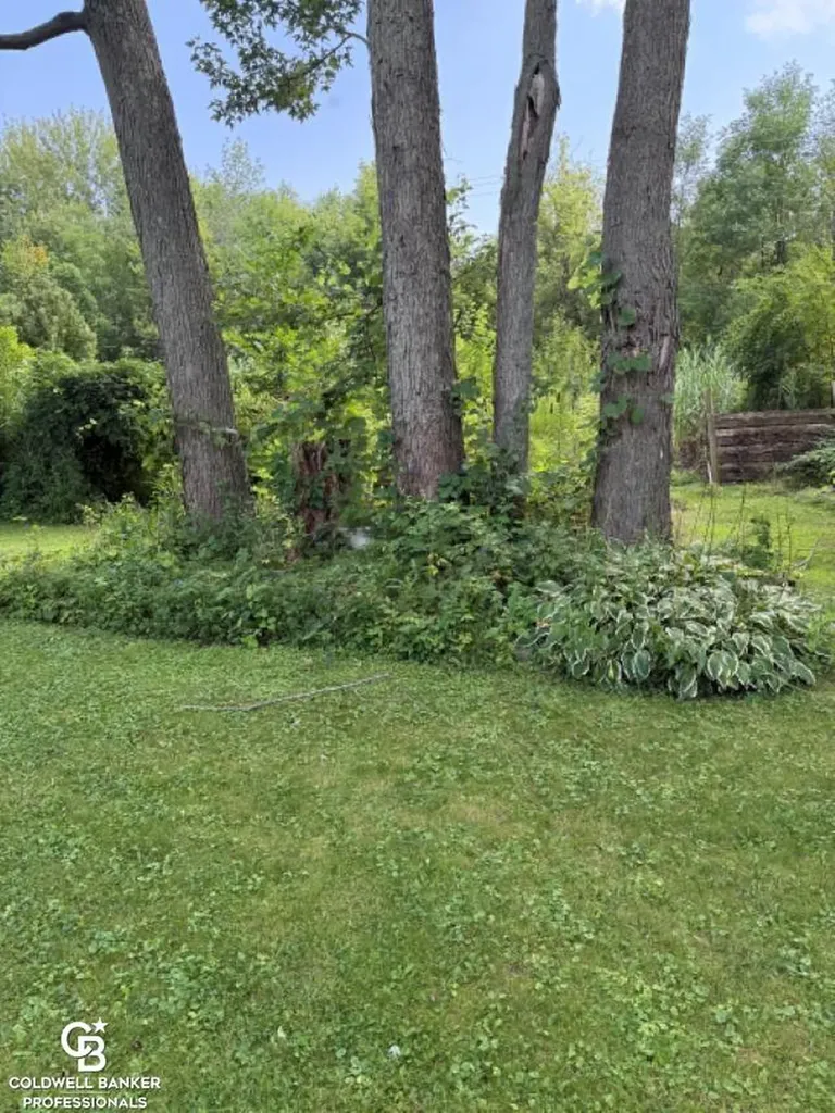 10729 Brandon Road Emmett Village MI 48022