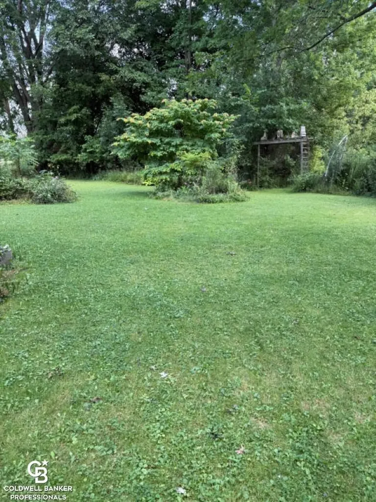 10729 Brandon Road Emmett Village MI 48022