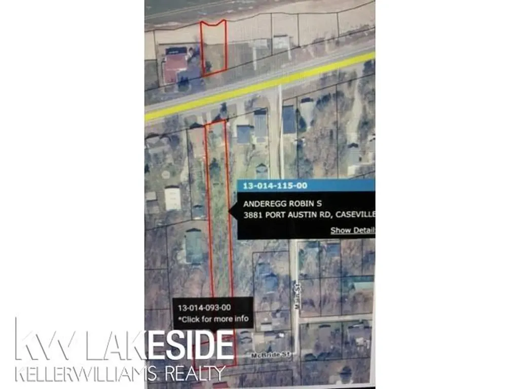 3881 Port Austin Road Lake Township MI 48725