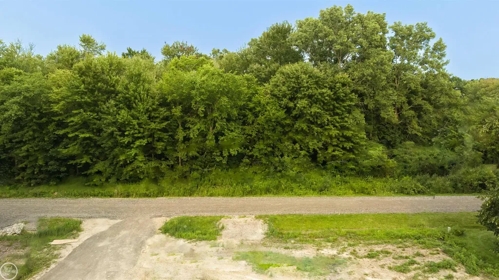 62880 Braun Drive Washington Township MI 48094