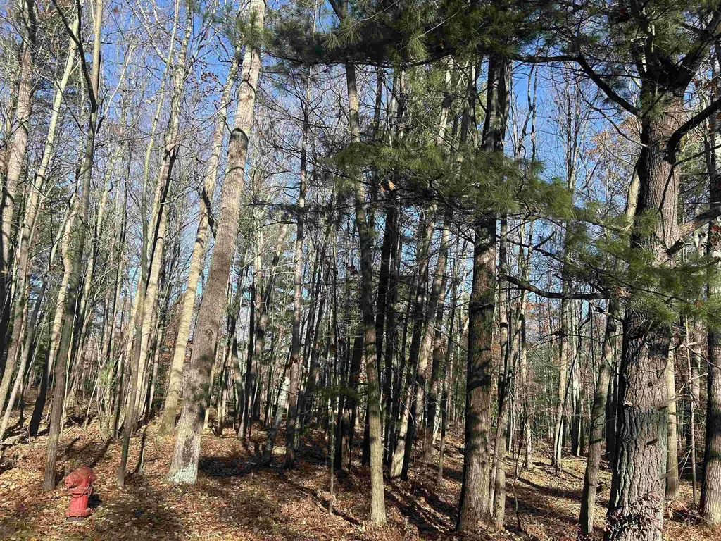 0 Fairway Dr. Street Standish Township MI 48658
