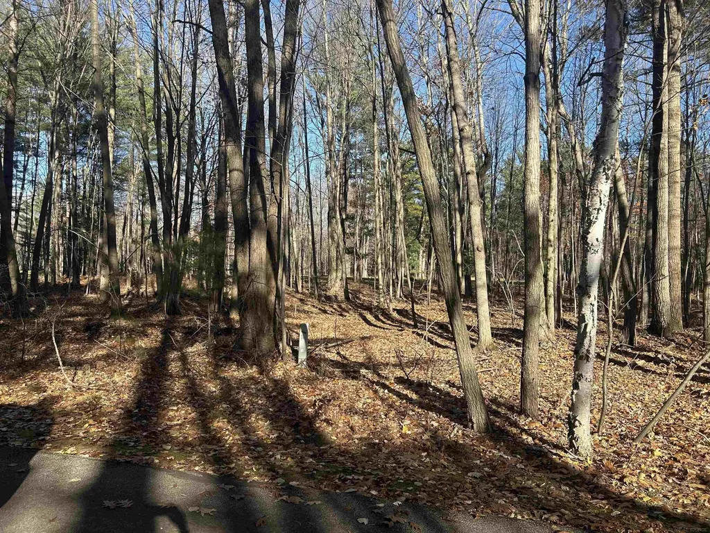0 Fairway Dr. Street Standish Township MI 48658