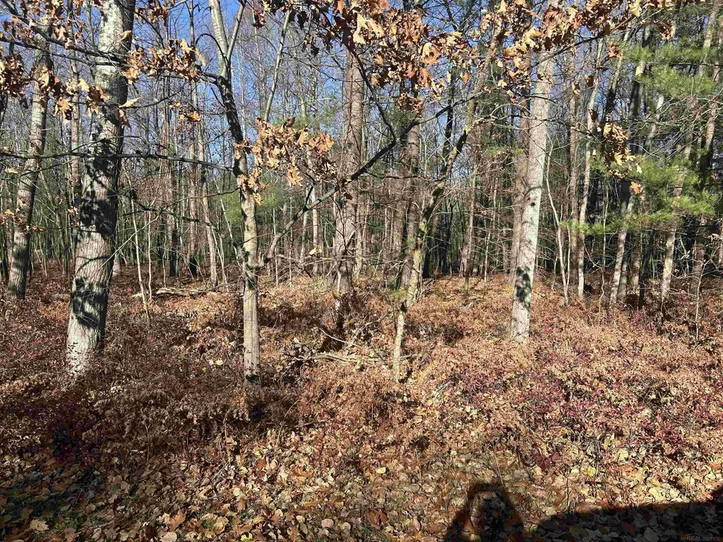 0 Fairway Dr. Street Standish Township MI 48658