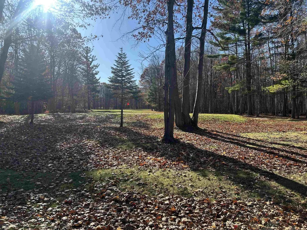 0 Fairway Dr. Street Standish Township MI 48658