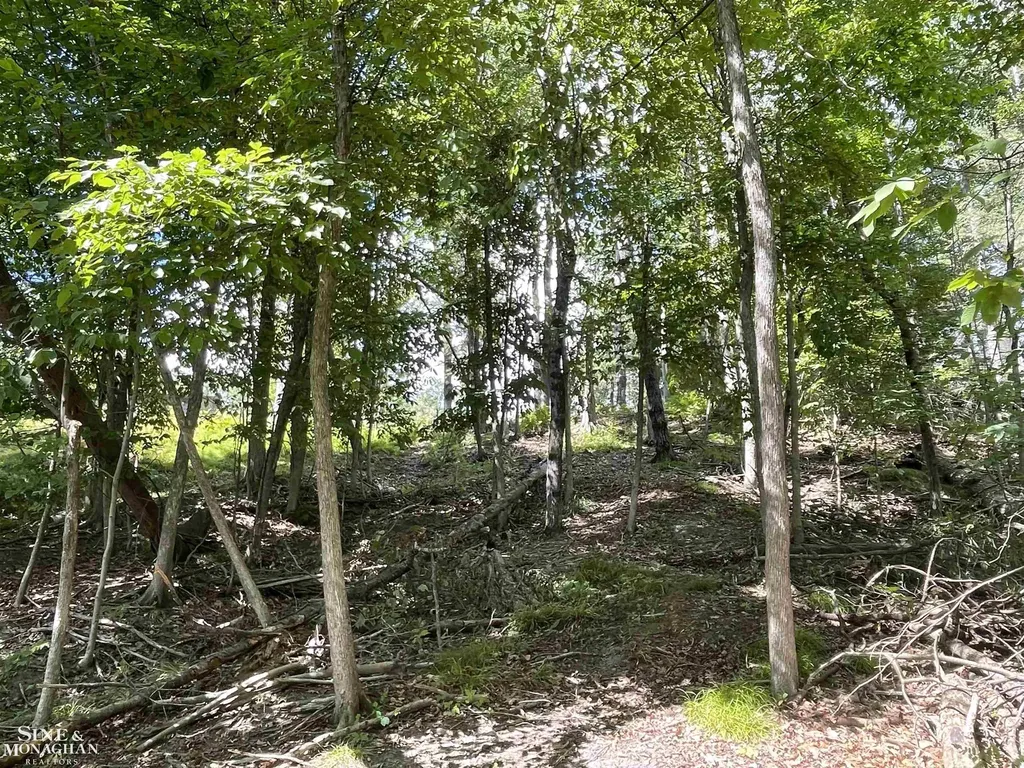 0 S Forest Lake Drive Unknown City MI 48610