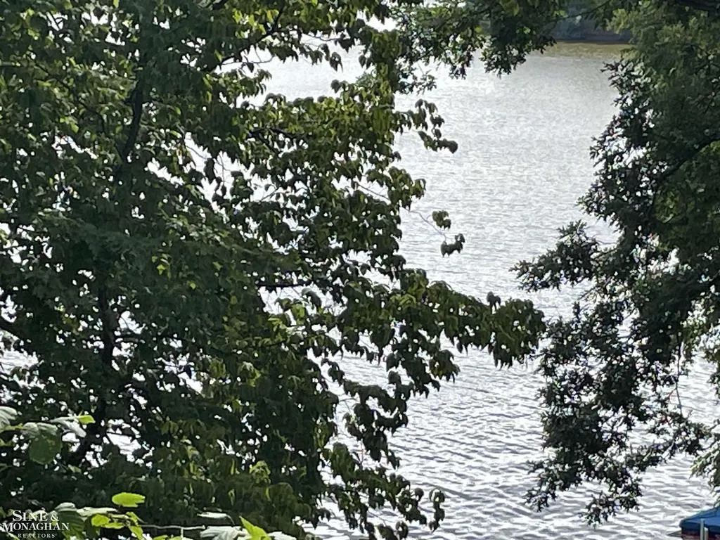 0 S Forest Lake Drive Unknown City MI 48610