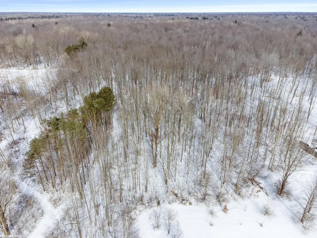 6776 Ravenswood Road Kimball Township MI 48074