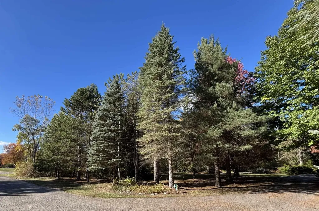0 Simcheck Drive Lyon Charter Township MI 48167