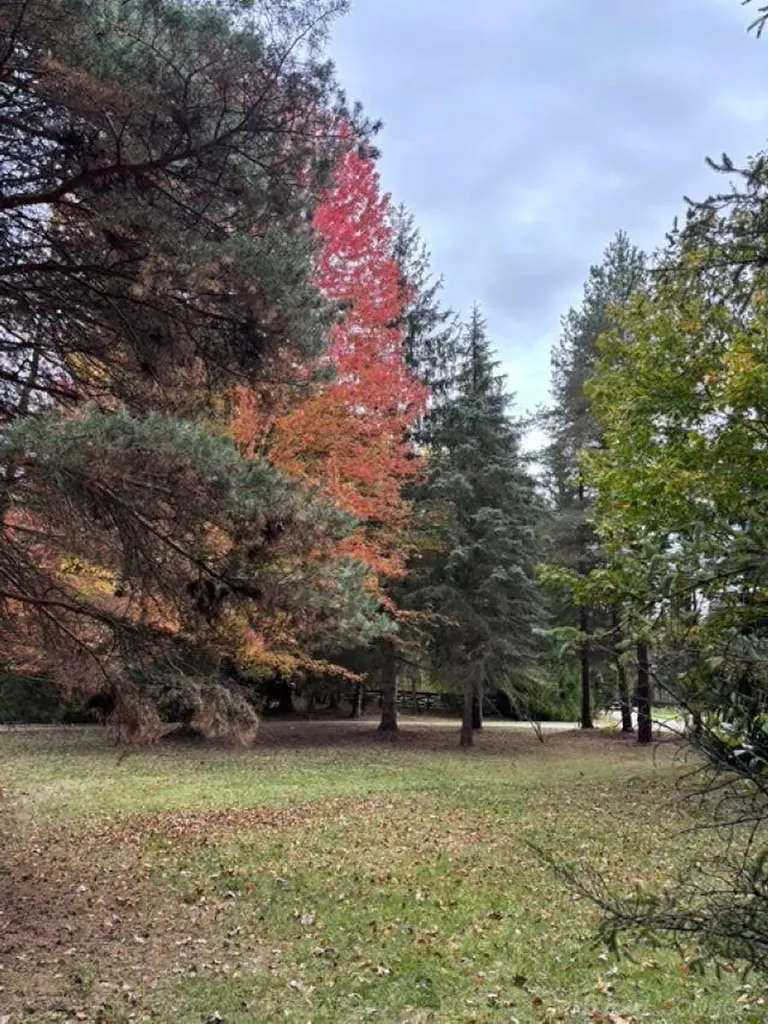 0 Simcheck Drive Lyon Charter Township MI 48167