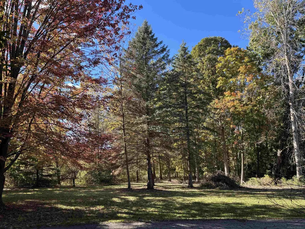 0 Simcheck Drive Lyon Charter Township MI 48167