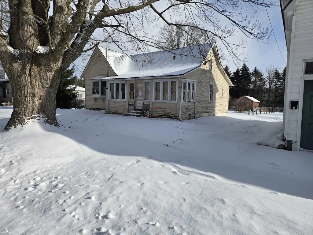 204 Mary Street Yale City MI 48097