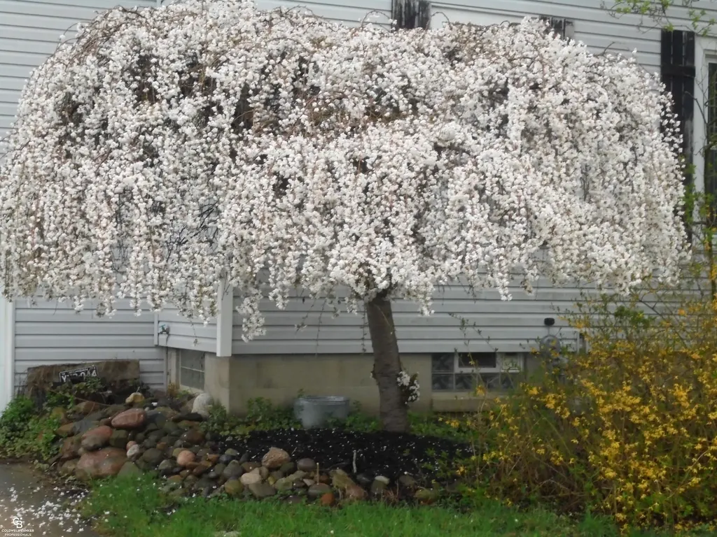 36311 Beier Street Richmond City MI 48062