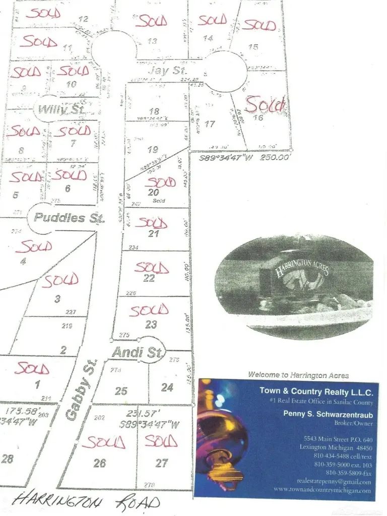 Lot #17 Jay Street Croswell City MI 48422