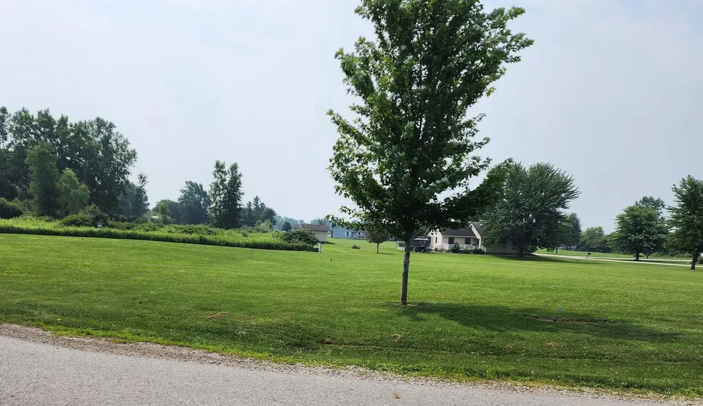 Lot #17 Jay Street Croswell City MI 48422