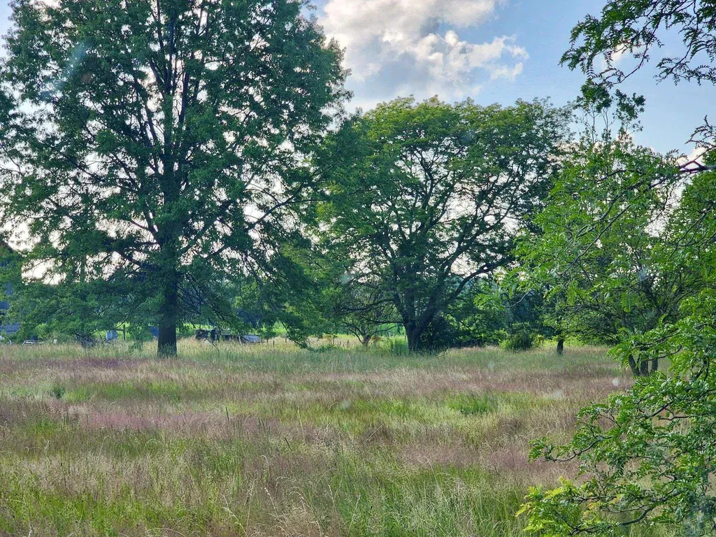 Vacant Springborn Road Casco Township MI 48064