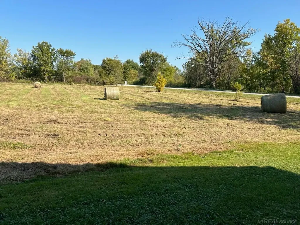 Vacant Springborn Road Casco Township MI 48064