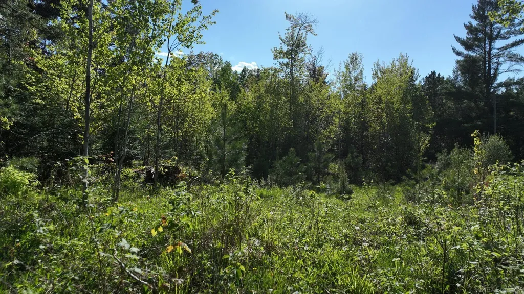 0 Calderwood Lot B Road Ontonagon Township MI 49967