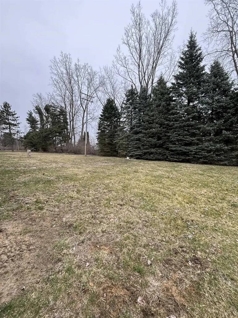 5393 Cedar Street Buel Township MI 48422