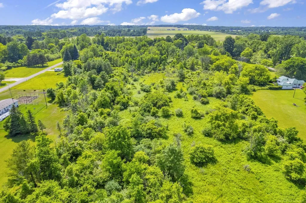 Tbd Lakeshore Road Lexington Township MI 48450