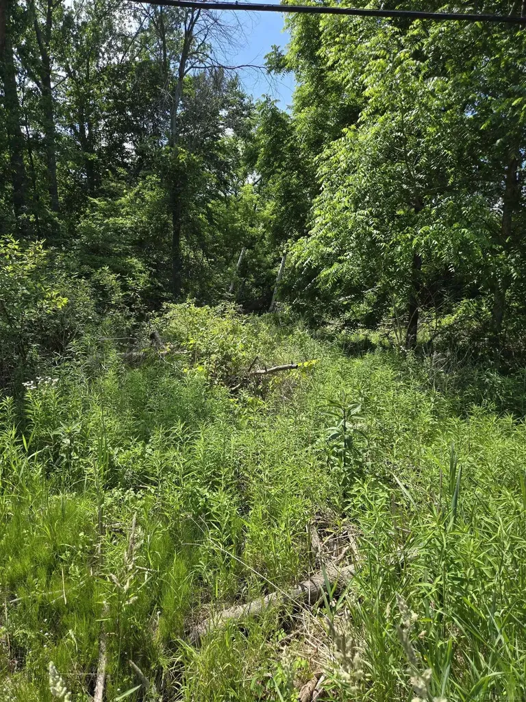 Tbd Lakeshore Road Lexington Township MI 48450