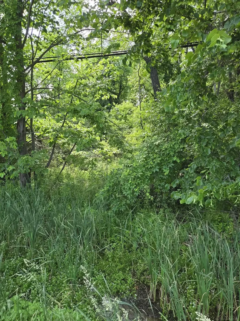 Tbd Lakeshore Road Lexington Township MI 48450