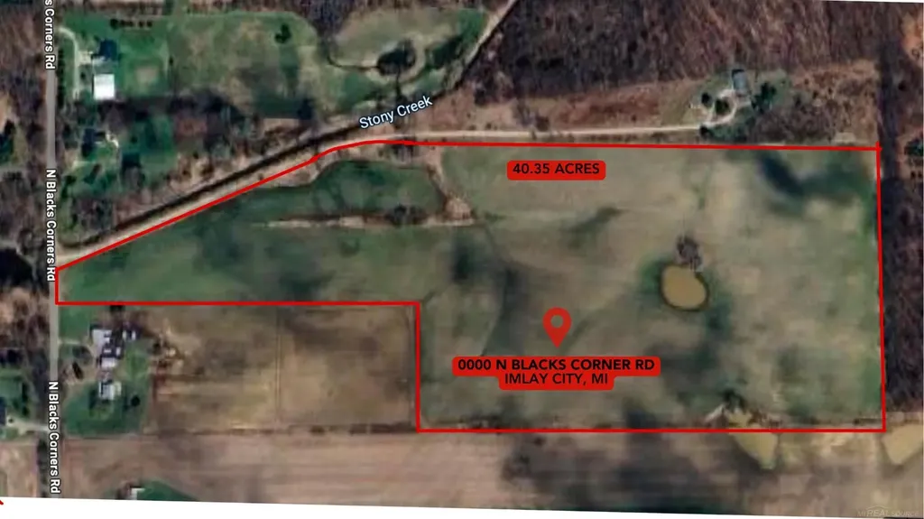 0 N Blacks Corner Road Goodland Township MI 48444
