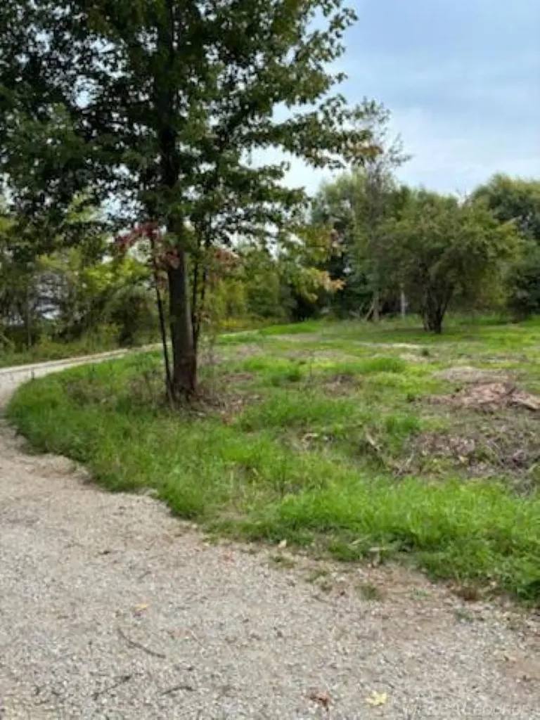 Tbd Vicky Drive Rubicon Township MI 48468