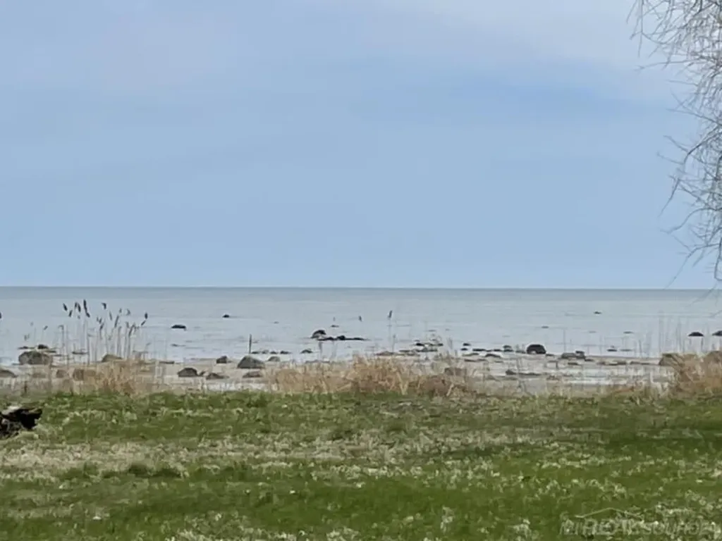 Tbd Vicky Drive Rubicon Township MI 48468