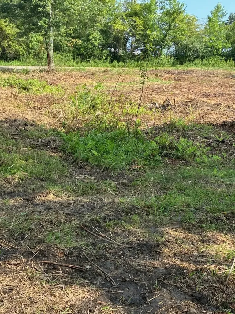 Tbd Vicky Drive Rubicon Township MI 48468