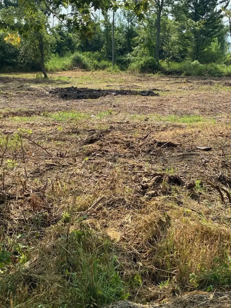 Tbd Vicky Drive Rubicon Township MI 48468