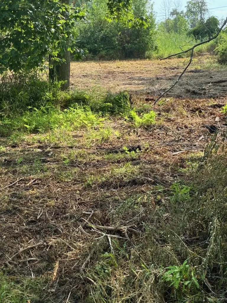 Tbd Vicky Drive Rubicon Township MI 48468