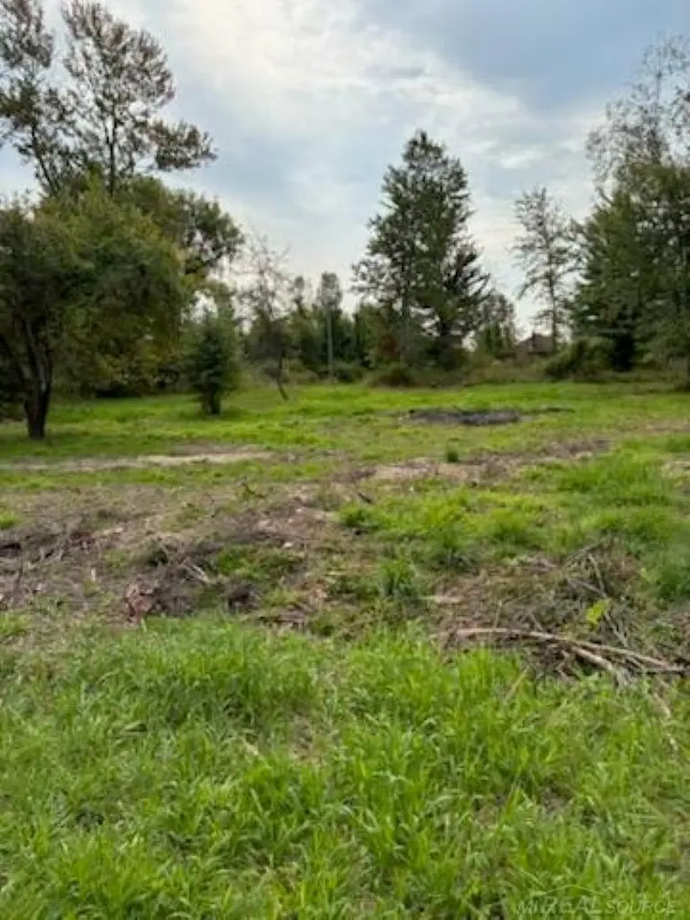 Tbd Vicky Drive Rubicon Township MI 48468