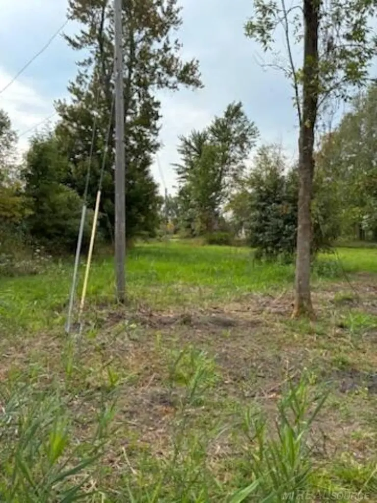 Tbd Vicky Drive Rubicon Township MI 48468