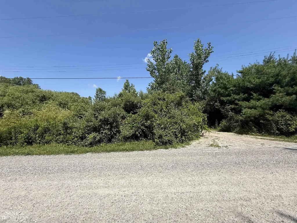 0 Wall Road Port Huron Charter Township MI 48060