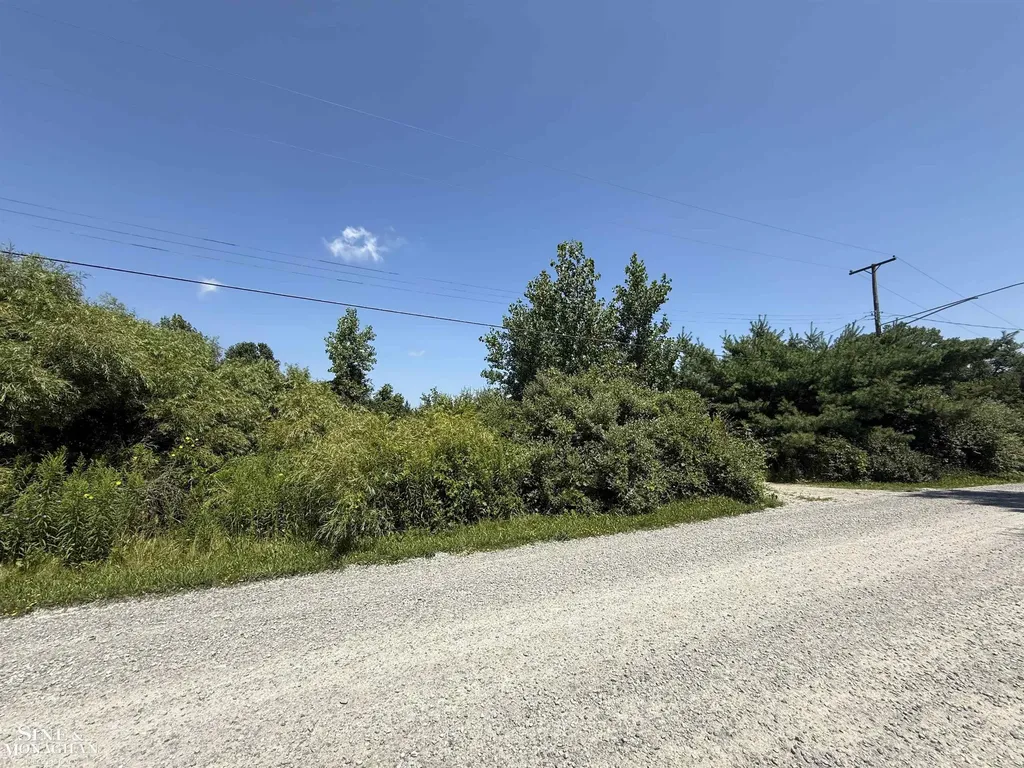 0 Wall Road Port Huron Charter Township MI 48060