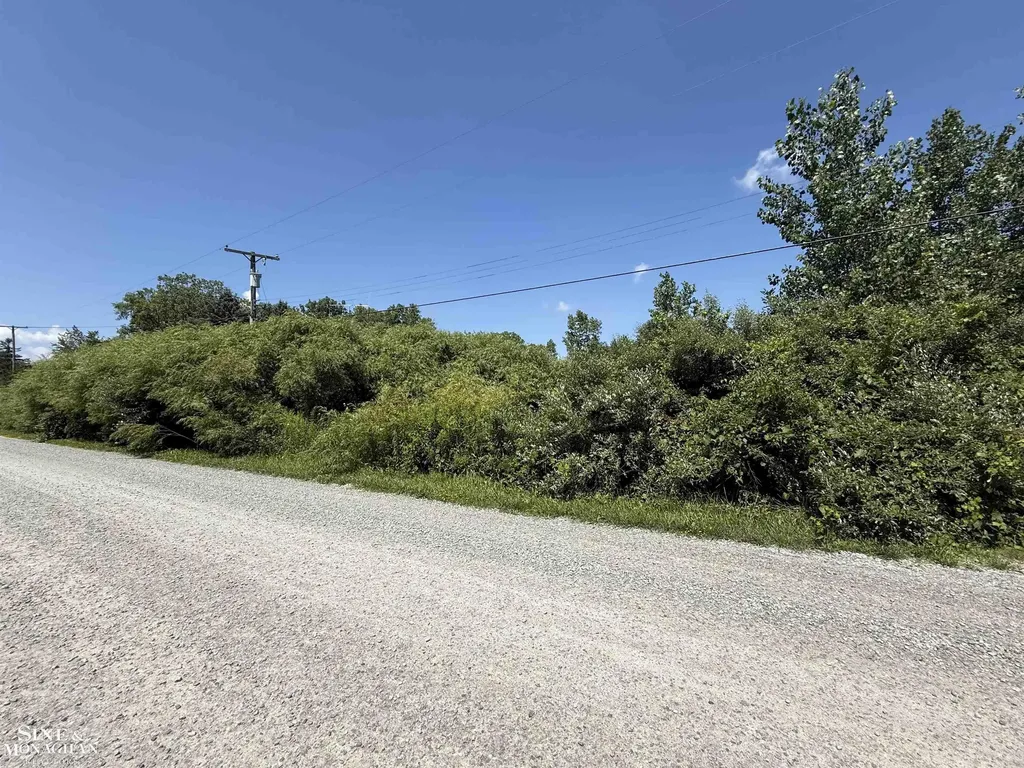 0 Wall Road Port Huron Charter Township MI 48060
