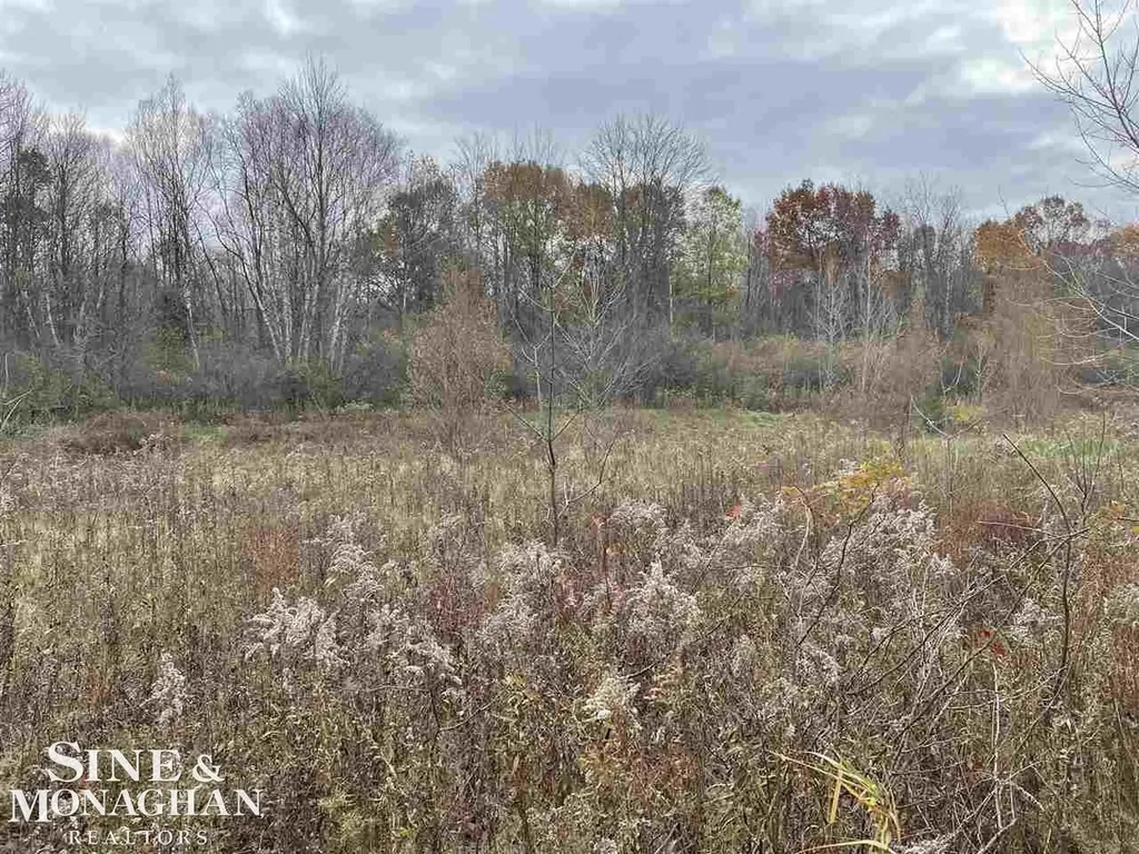 V/l Michigan Road Marysville City MI 48040