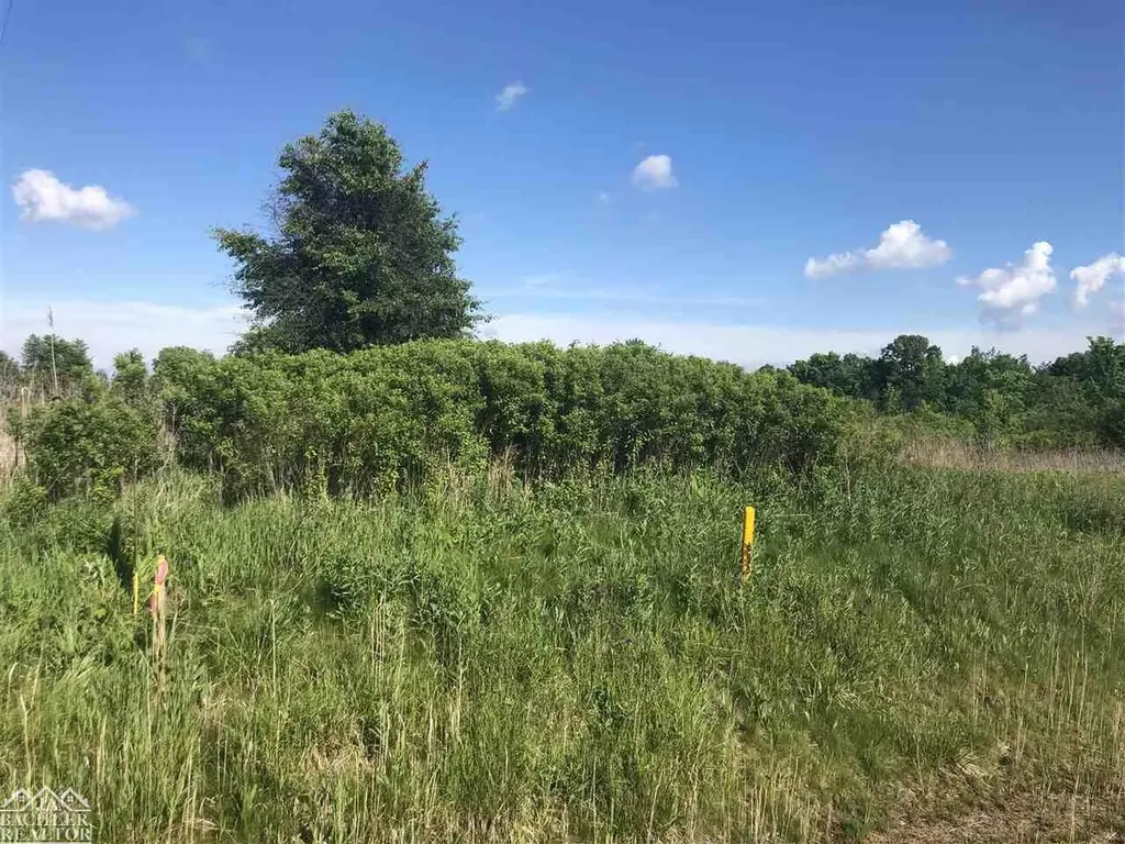 Wadhams Road St. Clair Township MI 48079