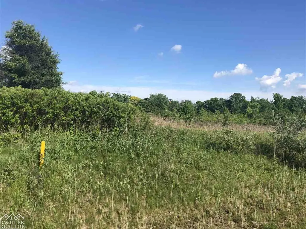 Wadhams Road St. Clair Township MI 48079