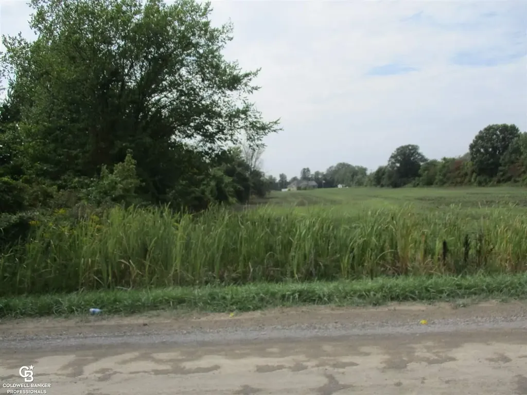 00 Angling Road #6 Road Richmond Township MI 48062