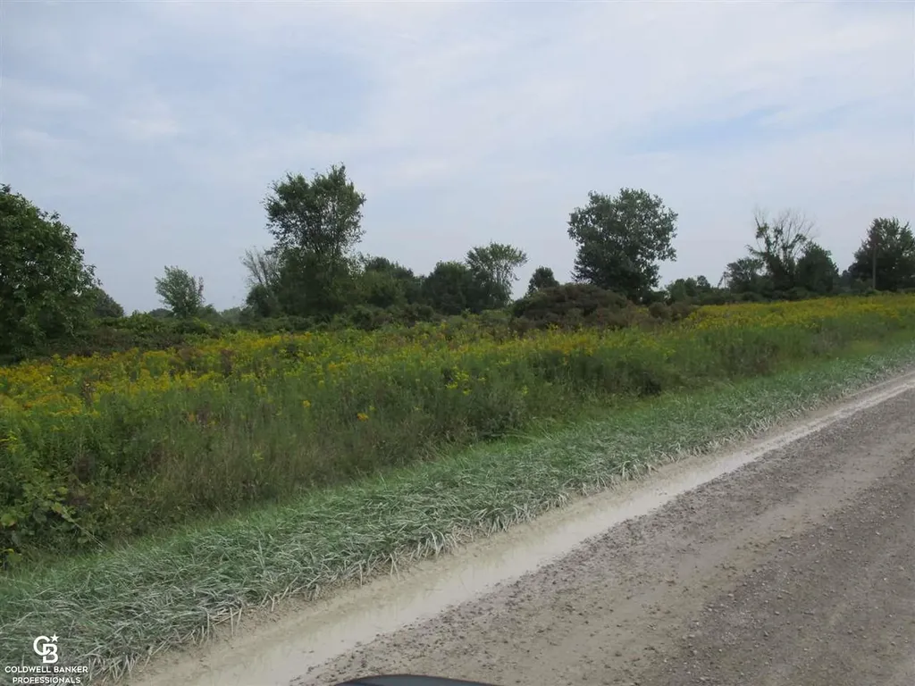 00 Angling Road #6 Road Richmond Township MI 48062