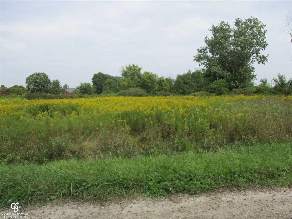 00 Angling Road #6 Road Richmond Township MI 48062