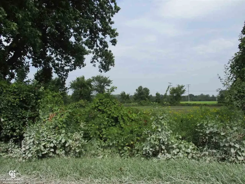 00 Angling Road #6 Road Richmond Township MI 48062