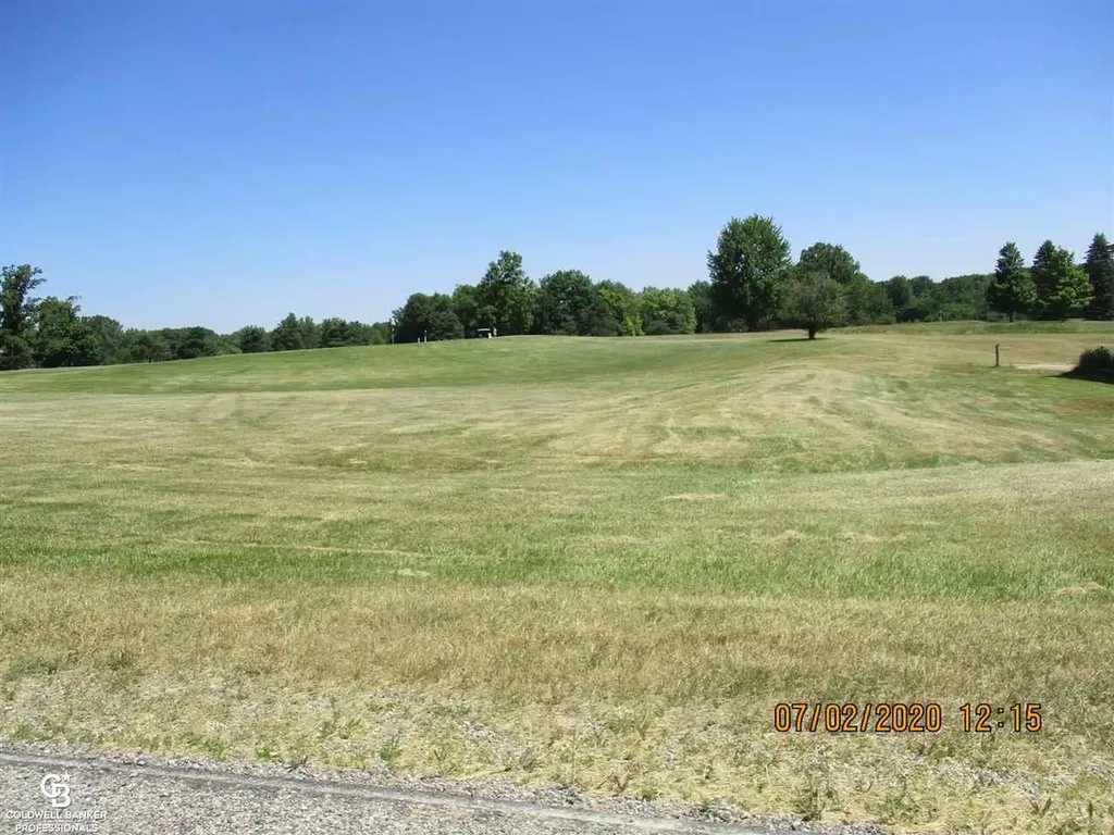 00 Belle River Lot Q Road Riley Township MI 48041