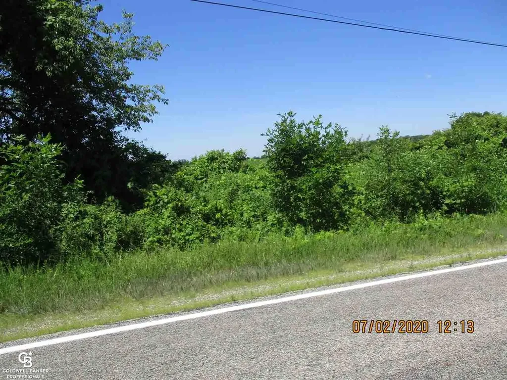 00 Belle River Lot Q Road Riley Township MI 48041