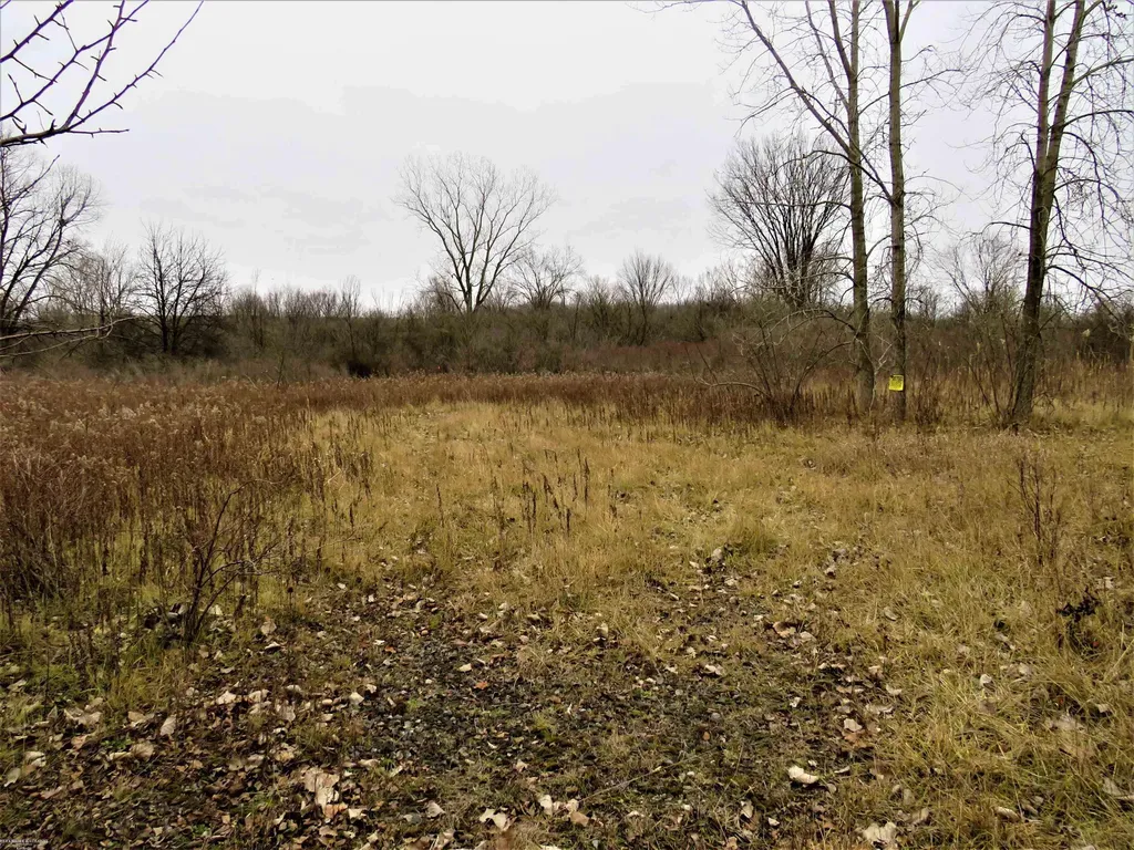 62800 Gratiot Road Lenox Township MI 48048