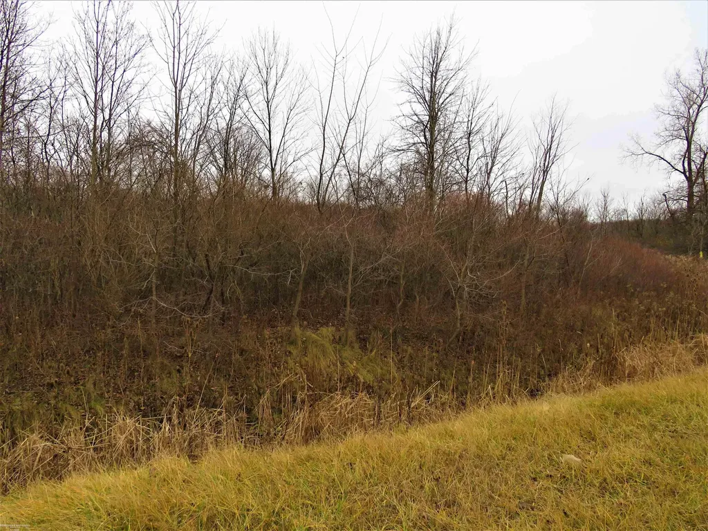 62800 Gratiot Road Lenox Township MI 48048